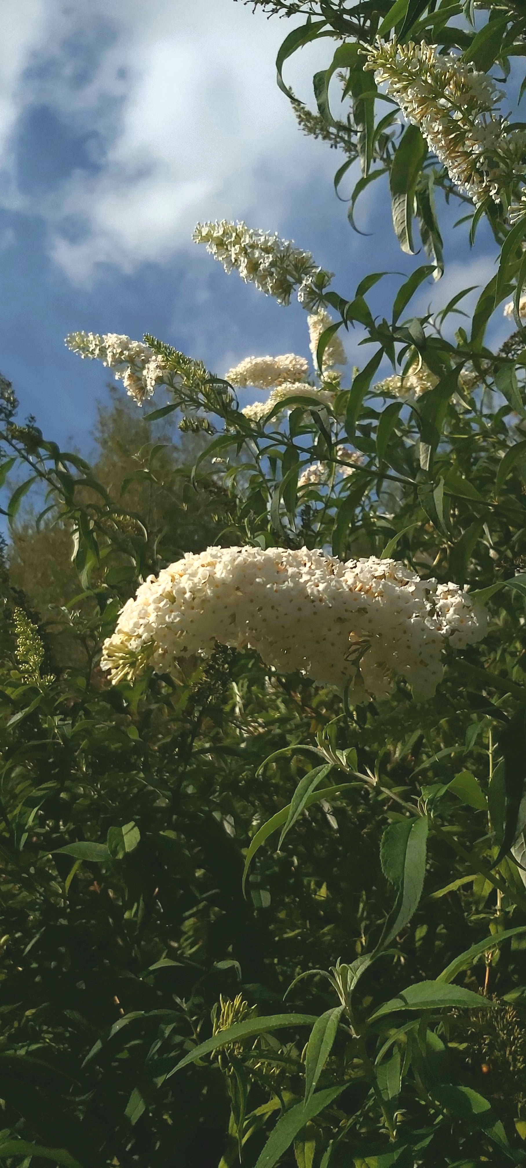 Photo n° 13 de l'avis de Laetitia.. fait le 10/10/2020 à 16:16
