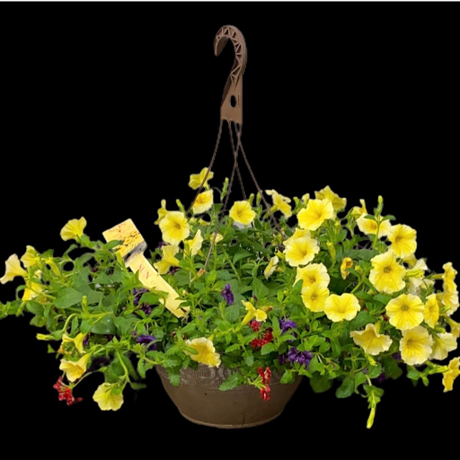 Home Improvement Store «Sutherlands Lumber», reviews and photos, 1801 Zero St, Fort Smith, AR 72901, USA