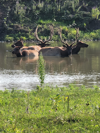 Golf Course «Waveland Golf Course», reviews and photos, 4908 University Ave, Des Moines, IA 50311, USA