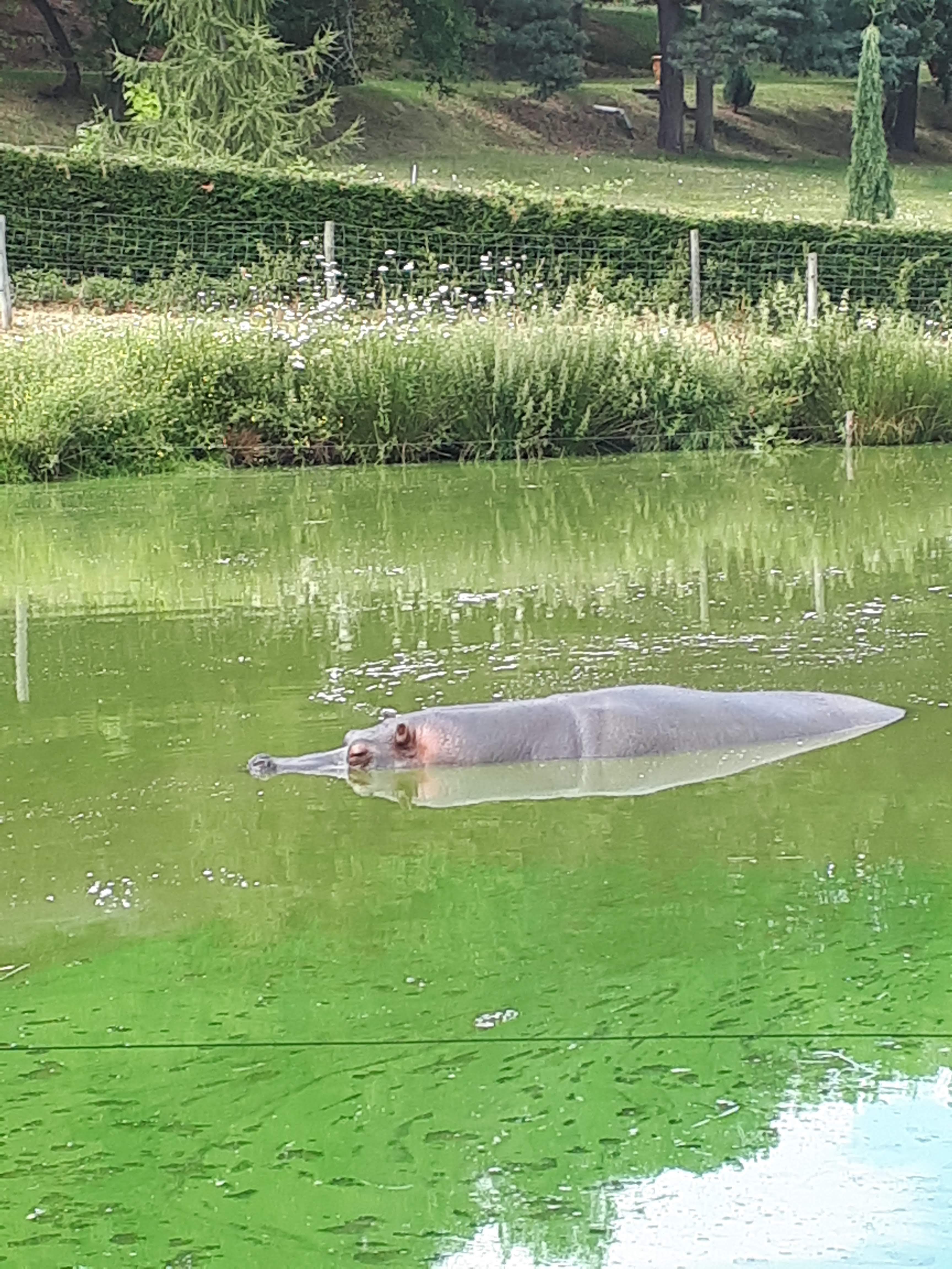 Photo n° 11 de l'avis de Mi.e fait le 05/08/2018 à 16:30