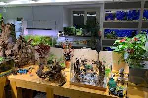 BioBox Студия профессиональной аквариумистики и террариумистики image