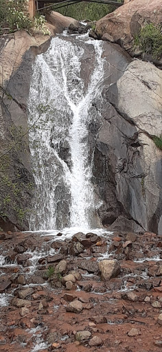 Museum «Colorado Springs Pioneers Museum», reviews and photos, 215 S Tejon St, Colorado Springs, CO 80903, USA