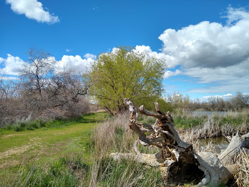 Nature Preserve «Wilson Springs Ponds», reviews and photos, 3209-3507 S Powerline Rd, Nampa, ID 83686, USA