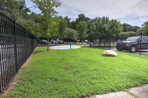 Animal Protection Organization «Charleston Animal Society», reviews and photos