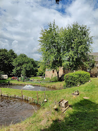Photo n°26 de Ferme Piscicole Moulin Petite Verriere à La Petite-Verrière ()