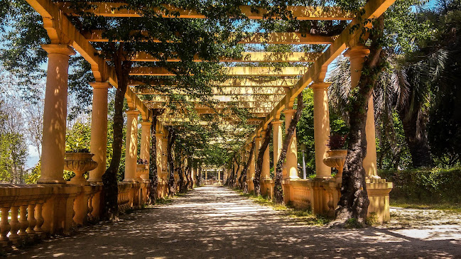 Avaliações doParque Infante Dom Pedro - Parque da Cidade de Aveiro em Aveiro - Campo de futebol