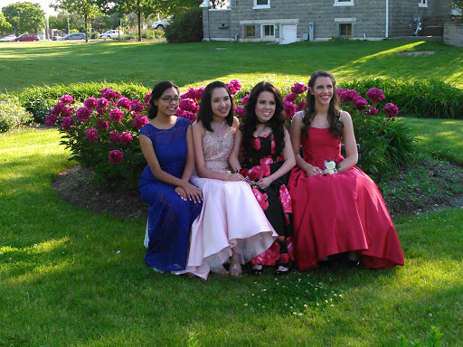 Park «Vogelei Park & Barn», reviews and photos, 650 W Higgins Rd, Hoffman Estates, IL 60169, USA