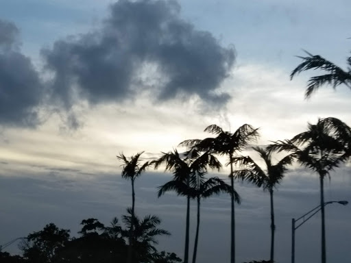 Supermarket «Walmart Neighborhood Market», reviews and photos, 3791 NW 167th St, Miami Gardens, FL 33055, USA