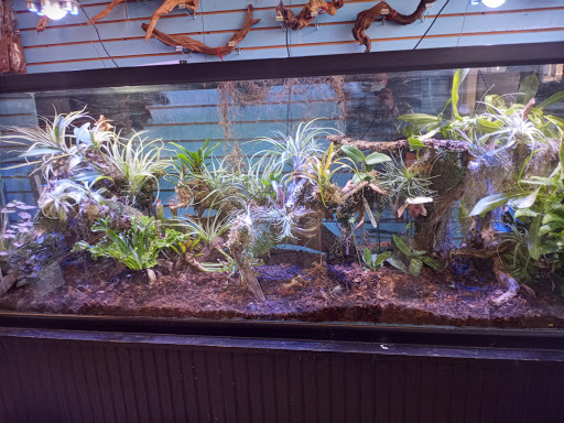 Pet Store «Fins Feathers Paws & Claws», reviews and photos, 436 Main St, Harleysville, PA 19438, USA