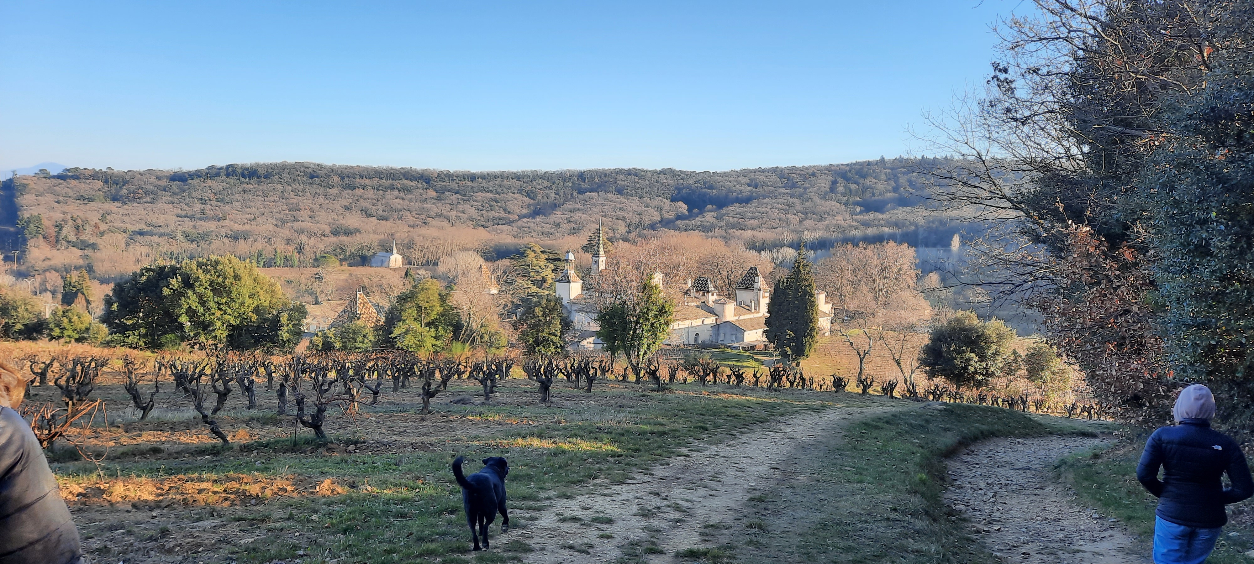 Photo n° 3 de l'avis de Gemmes.t fait le 23/01/2022 à 20:37