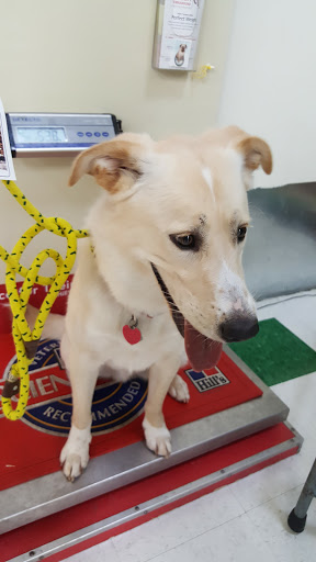 Pet Supply Store «Pet Supplies Plus», reviews and photos, 4100 Legacy Dr Suite 402, Plano, TX 75024, USA