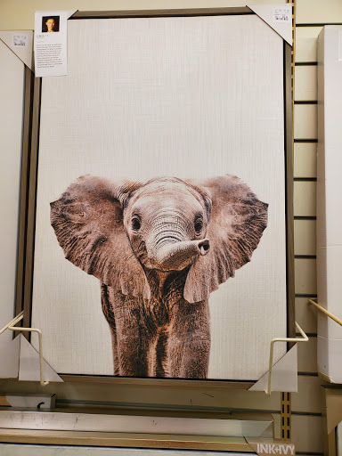 Department Store «HomeGoods», reviews and photos, 9 Kilton Rd, Bedford, NH 03110, USA