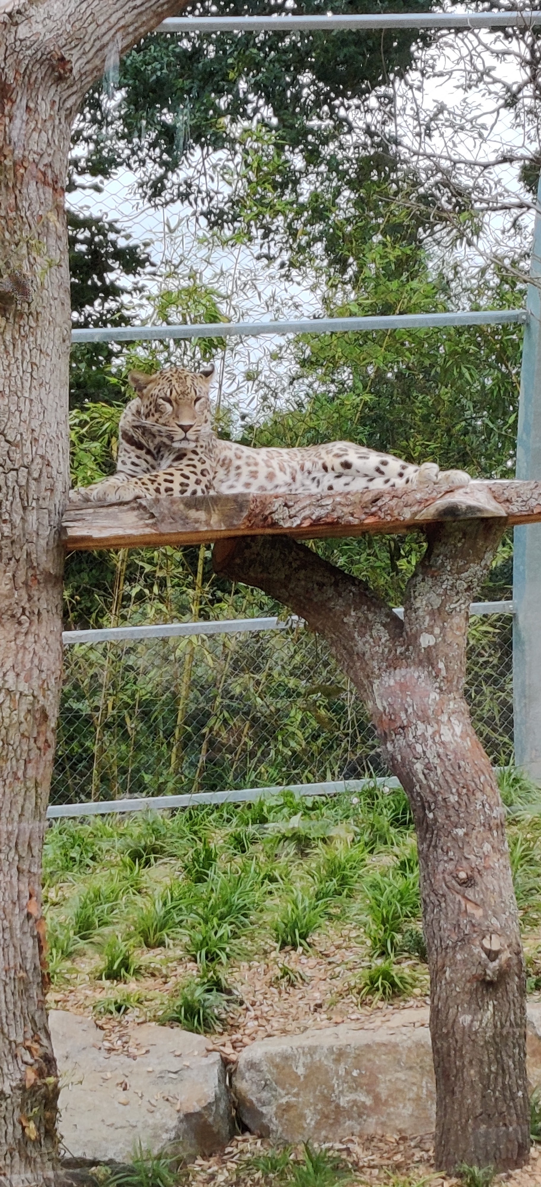 Photo n° 30 de l'avis de Maxime.o fait le 17/07/2019 à 19:11