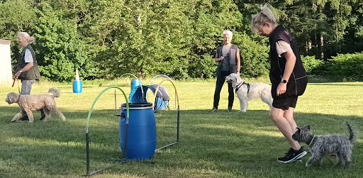 DCH Nørre Snede in Nørre Snede, Ikast-Brande