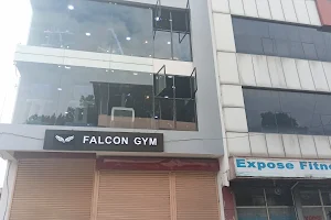 Falcon Gym image
