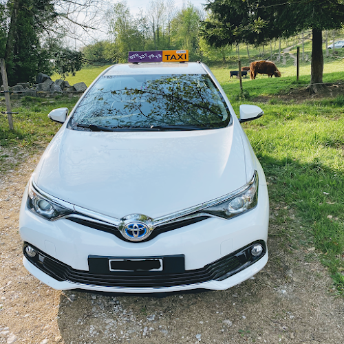 Rezensionen über Taxi Ludwig in Delsberg - Taxiunternehmen