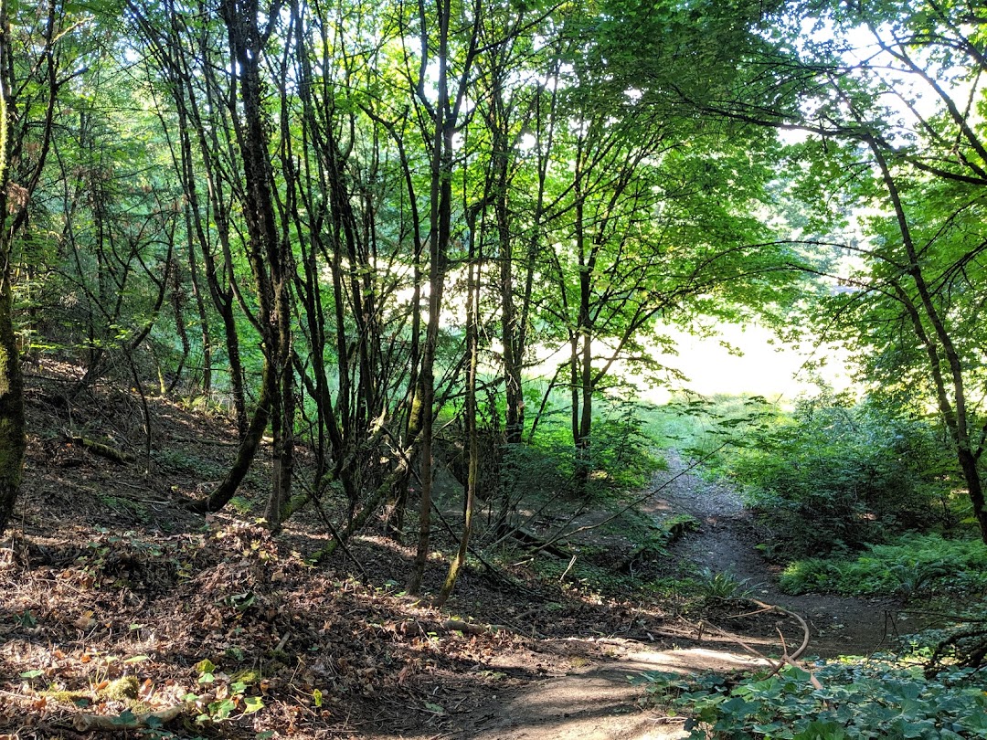 Kelly Butte Natural Area