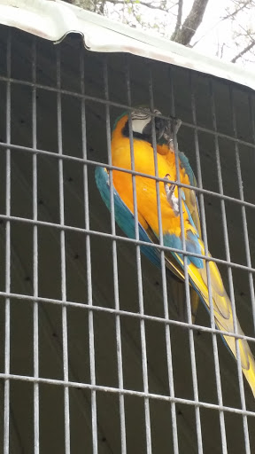 Zoo «Gulf Breeze Zoo», reviews and photos, 5701 Gulf Breeze Pkwy, Gulf Breeze, FL 32563, USA