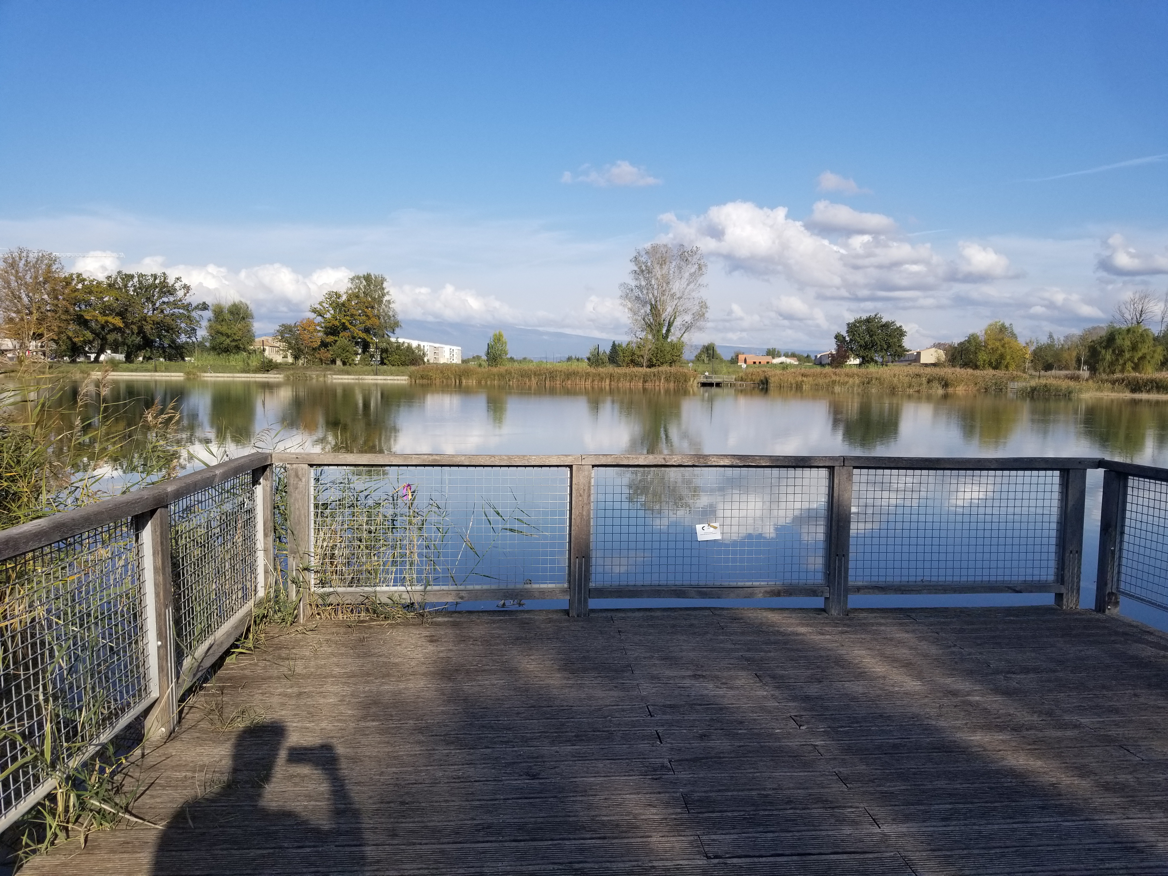 Photo n° 1 de l'avis de lasha.i fait le 24/10/2019 à 14:35
