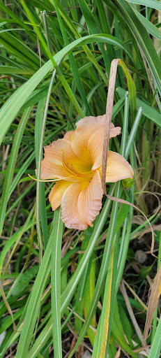 Amusement Center «The Magic Castle», reviews and photos, 4990 Wilmington Pike, Dayton, OH 45440, USA