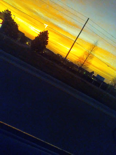 Pet Supply Store «Pet Supermarket», reviews and photos, 7822 Gall Blvd, Zephyrhills, FL 33541, USA