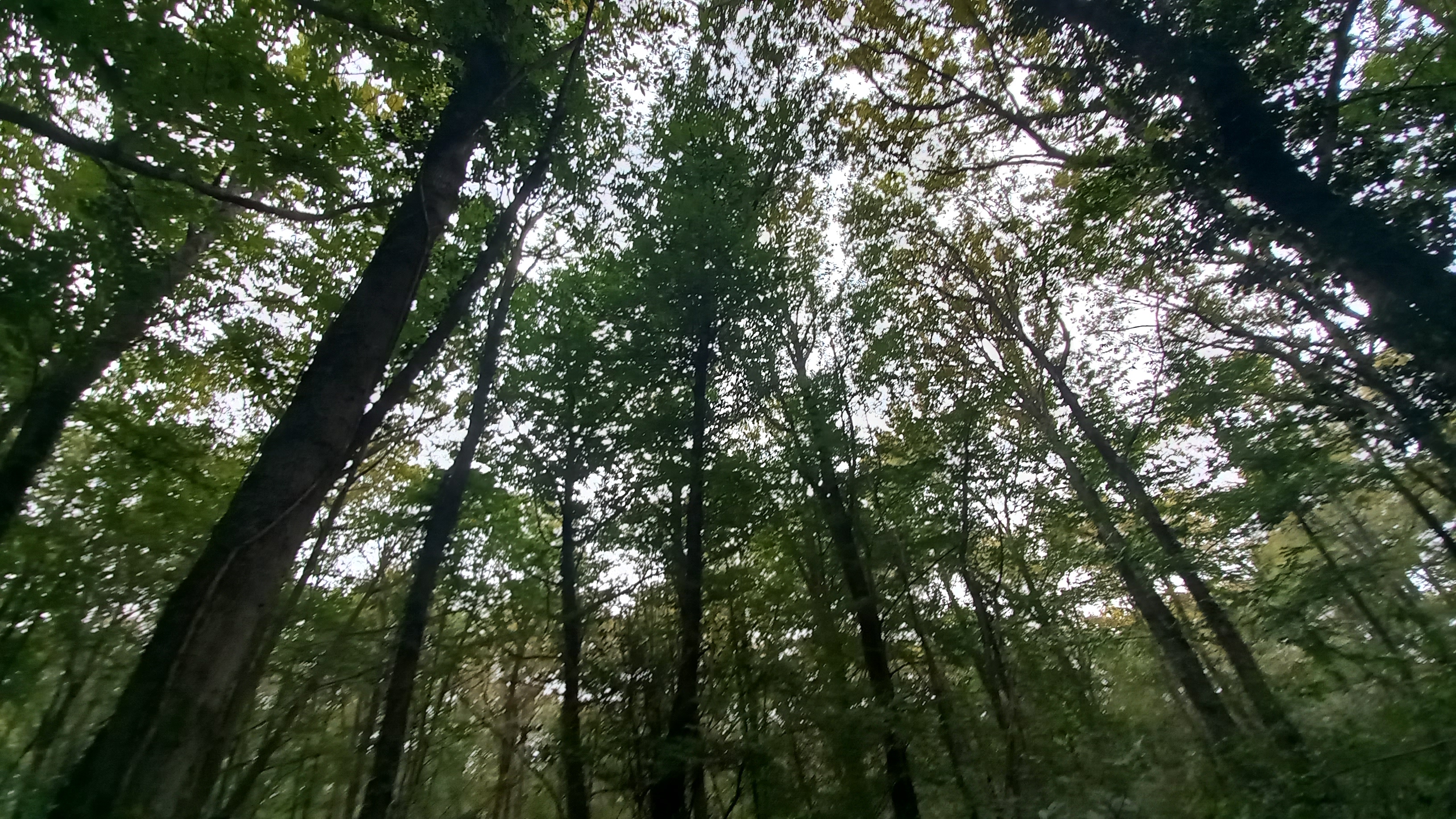 Photo n° 5 de l'avis de Victoria.u fait le 21/10/2023 à 14:02