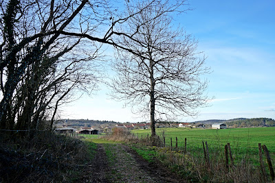 La Condamine à Saint-Alban
