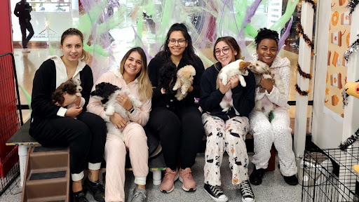 Pet Store «Animal Kingdom», reviews and photos, 4500 N Oracle Rd #254, Tucson, AZ 85705, USA