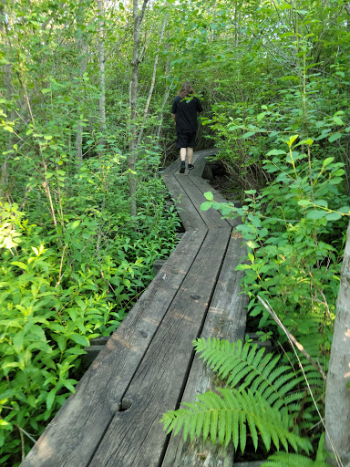 Nature Preserve «Mud Lake Bog Nature Preserve», reviews and photos, 905 E Elm Valley Rd, Buchanan, MI 49107, USA