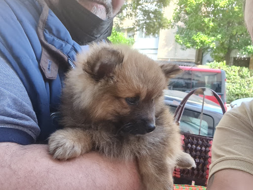 Zoo Llerena en Sevilla