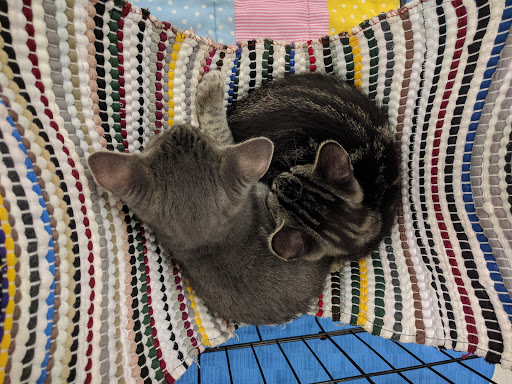 Pet Supply Store «Petco Animal Supplies», reviews and photos, 8111 W Broward Blvd, Plantation, FL 33324, USA