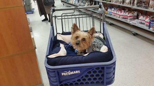 Pet Supply Store «PetSmart», reviews and photos, 62 Centerton Rd, Mt Laurel, NJ 08054, USA