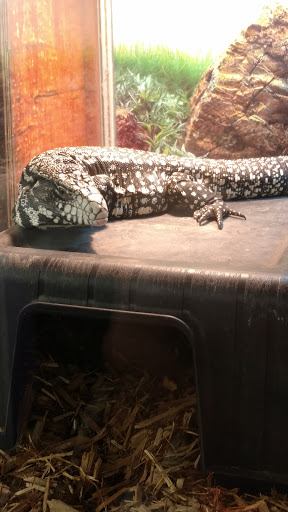 Pet Store «B & B Pet Stop, Inc.», reviews and photos, 5035 Cottage Hill Rd, Mobile, AL 36609, USA