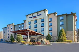 SpringHill Suites by Marriott Pigeon Forge image