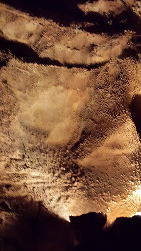 Hotel «Grand Victorian Inn», reviews and photos, 5 Old Dixie Hwy, Park City, KY 42160, USA