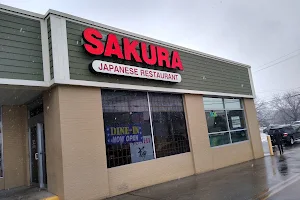 Sakura Japanese Restaurant & Sushi Bar image