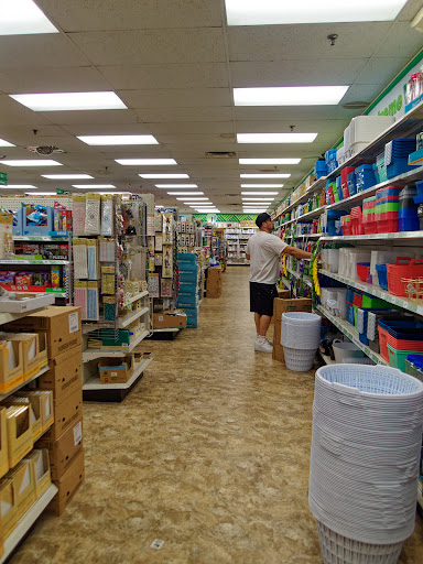 Dollar Store «Dollar Tree», reviews and photos, 200 N Best Ave f, Walnutport, PA 18088, USA