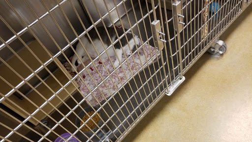 Pet Supply Store «PetSmart», reviews and photos, 2020 SW Westport Dr, Topeka, KS 66604, USA