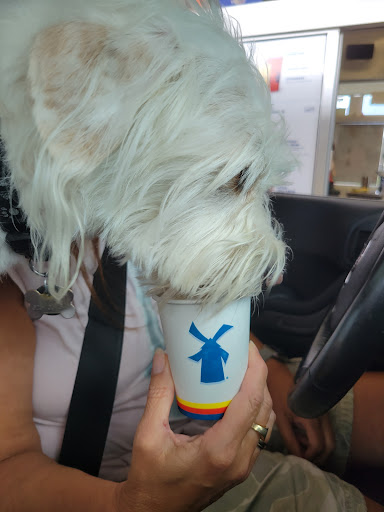 Coffee Shop «Dutch Bros Coffee», reviews and photos, 5980 AZ-69, Prescott Valley, AZ 86314, USA