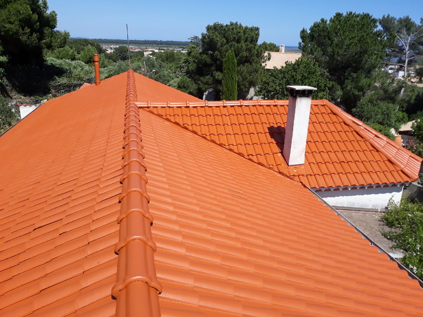 Photo n° 1 de l'avis de BONNARD.I fait le 28/05/2020 à 15:53