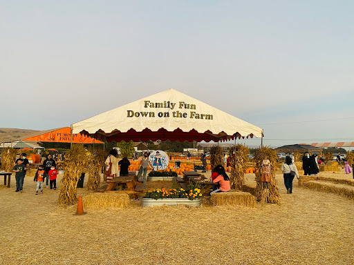 Pumpkin Patch «Spina Farms», reviews and photos, Santa Teresa Blvd, Morgan Hill, CA 95037, USA