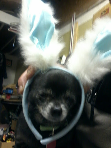 Shopping Mall «Evergreen Shopping Center», reviews and photos, 5015 Tacoma Mall Blvd, Tacoma, WA 98409, USA