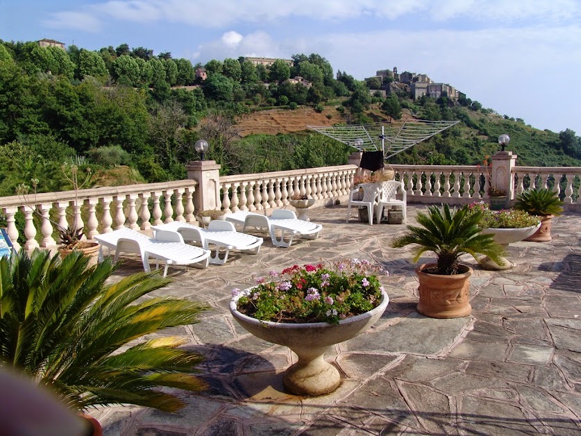 Alain BELAICH Domaine du Majo à Penta-di-Casinca ( )