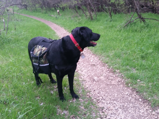 Park «McAllister Park», reviews and photos, 13102 Jones Maltsberger Rd, San Antonio, TX 78247, USA