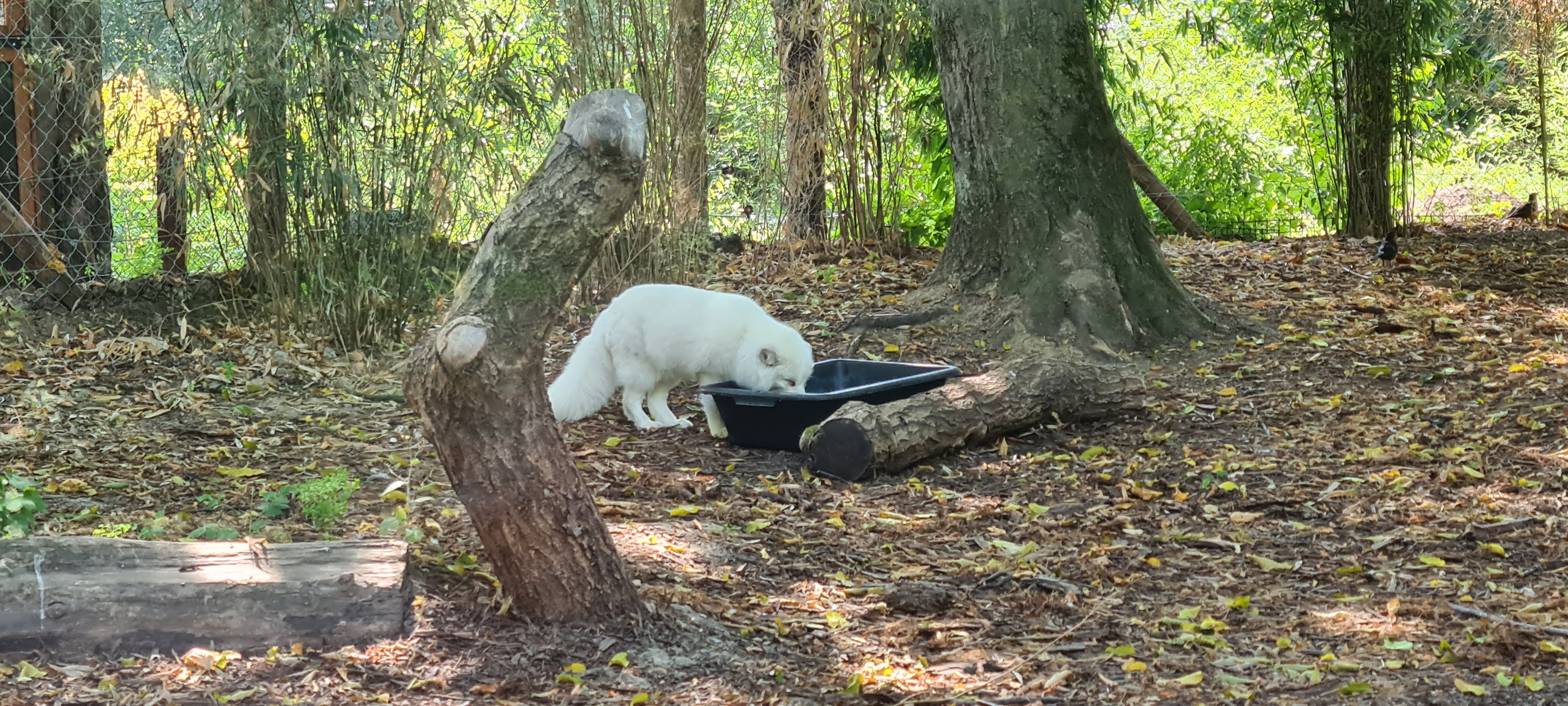 Photo n° 4 de l'avis de Chris.a fait le 16/08/2022 à 09:28