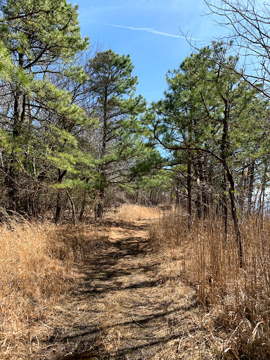Nature Preserve «Edwin B. Forsythe National Wildlife Refuge- deCamp Wildlife Trail», reviews and photos, 365 Mantoloking Rd, Brick, NJ 08723, USA