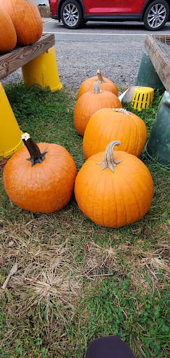 Grocery Store «Grasso Girls Farm Market», reviews and photos, 353 Wolfert Station Rd, Mullica Hill, NJ 08062, USA