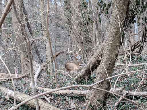 National Park «Battery Kemble Park», reviews and photos, 3035 Chain Bridge Rd NW, Washington, DC 20016, USA
