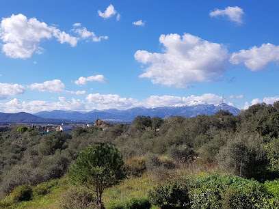 Bosque nacional – Cova De Sa Mora – Muro
