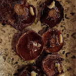 Photo n°1 de l'avis de Massimo.a fait le 18/11/2023 à 06:00 sur le  Ristorantino Il Sovrano à Sant'Anatolia di Narco